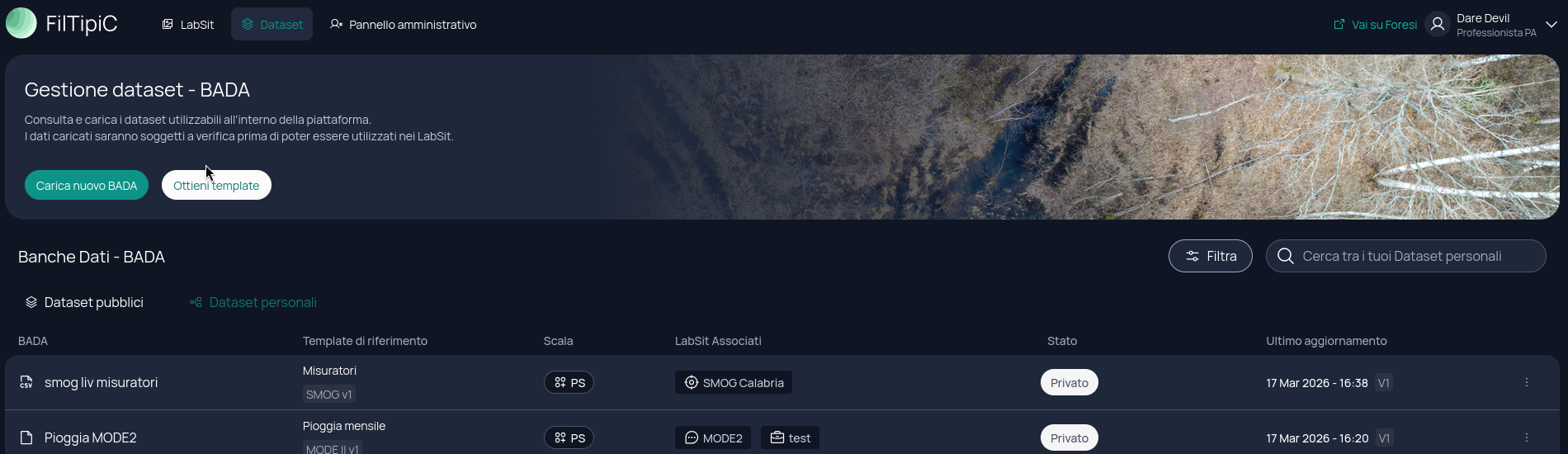 Pagina Dataset con il pulsante Ottieni Template