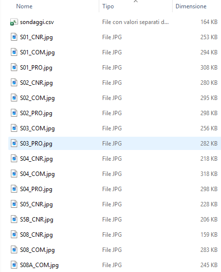 Contenuto dell'archivio ZIP con il CSV e le immagini dei sondaggi