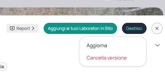 Opzioni Aggiorna e Cancella versione